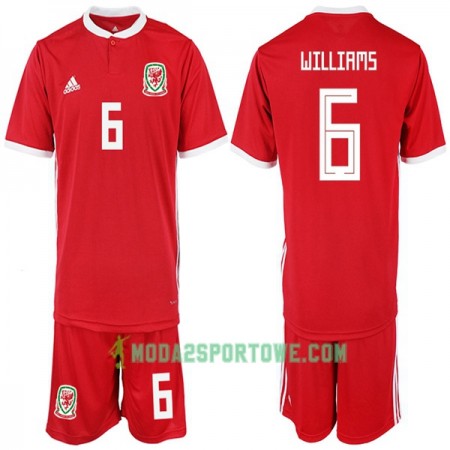 Koszulka Walia WILLIAMS 6 Dziecięcy Domowe Stroje Piłkarskie 2018-2019 Krótki Rękaw